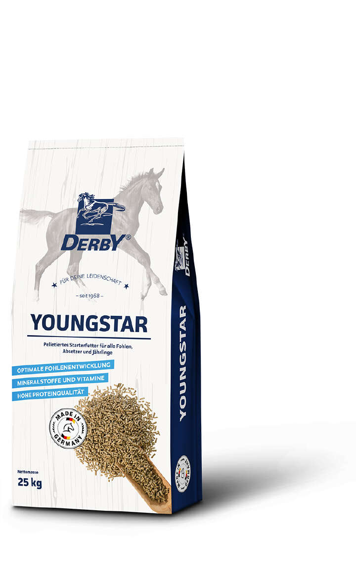 DERBY Youngstar DERBY Youngstar